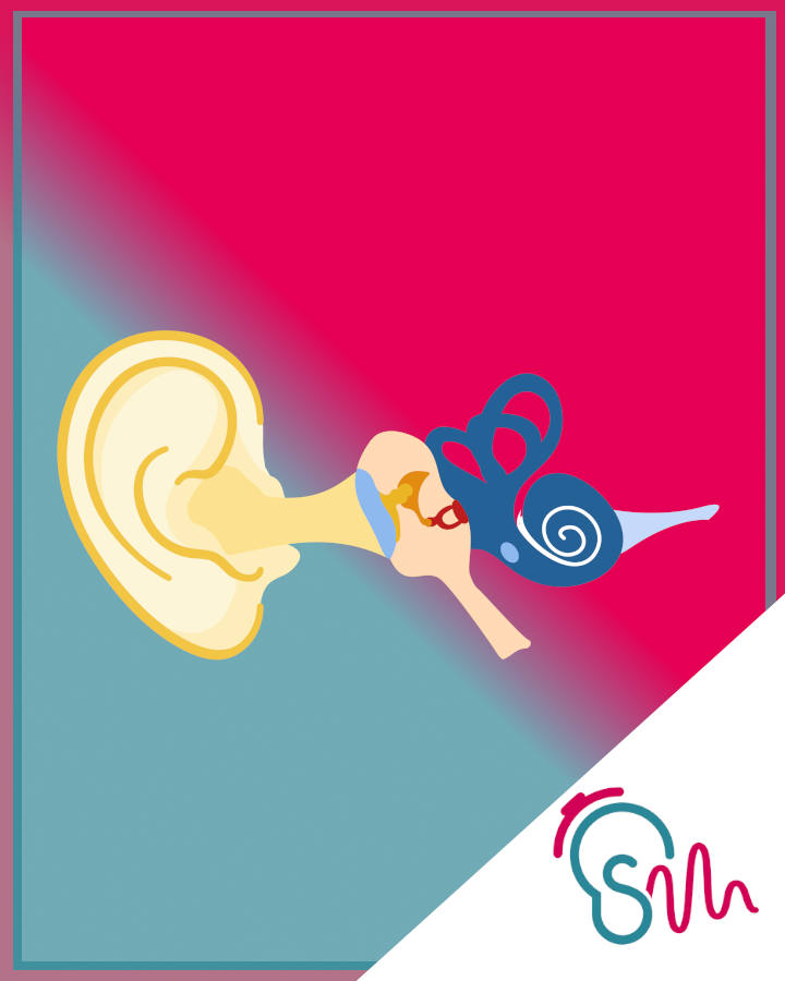 Enfermedades auditivas raras